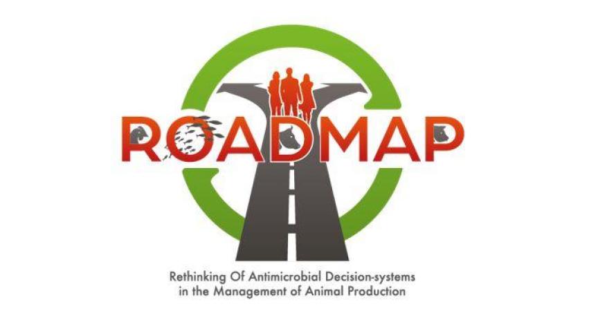 roadmap logo