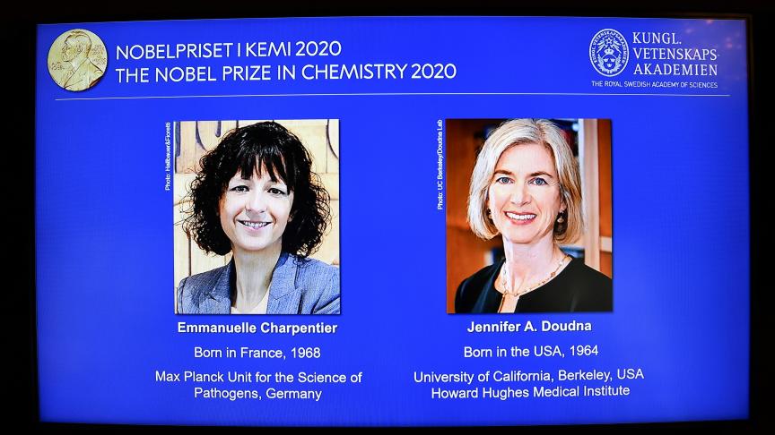 De Nobelprijs voor Chemie wordt dit jaar toegekend aan de Franse wetenschapster Emmanuelle Charpentier en haar Amerikaanse collega Jennifer Doudna voor de ontwikkeling van een methode (Crispr/Cas9) om genetisch materiaal relatief eenvoudig te wijzigen.