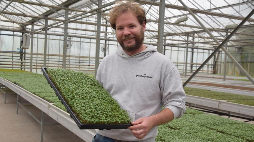 Tom De Windt won de juryprijs van de Newbie Award 2020 met PachaGreens, zijn bedrijf dat microgroenten produceert.