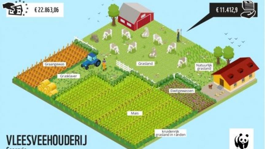 WWF berekende in een studie dat de productie van eigen eiwithoudende gewassen een meerwaarde betekenen voor de veehouder.