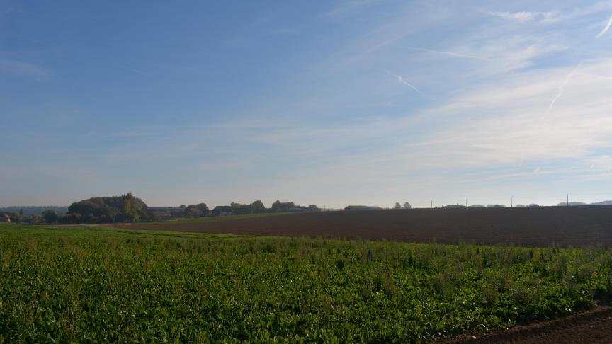 Via Agripartners wil Colruyt landbouwgrond dat ze al in bezit heeft, met name rond sites, ontwikkelen. Daarna wil het zich beperkt op de agrarische grondmarkt begeven.