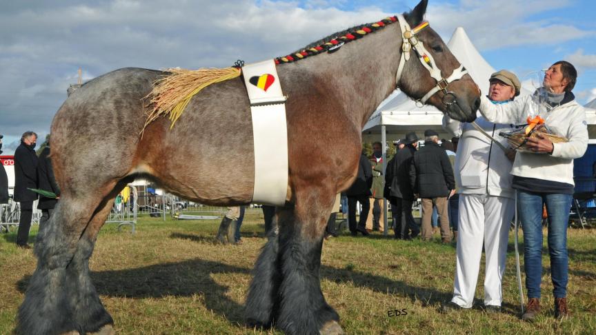 De vijfjarige Margo van ’t Roetaart van Johanna en Greta Cocquyt uit Deinze werd in Oudenaarde dag- en Oost-Vlaamse kampioene.