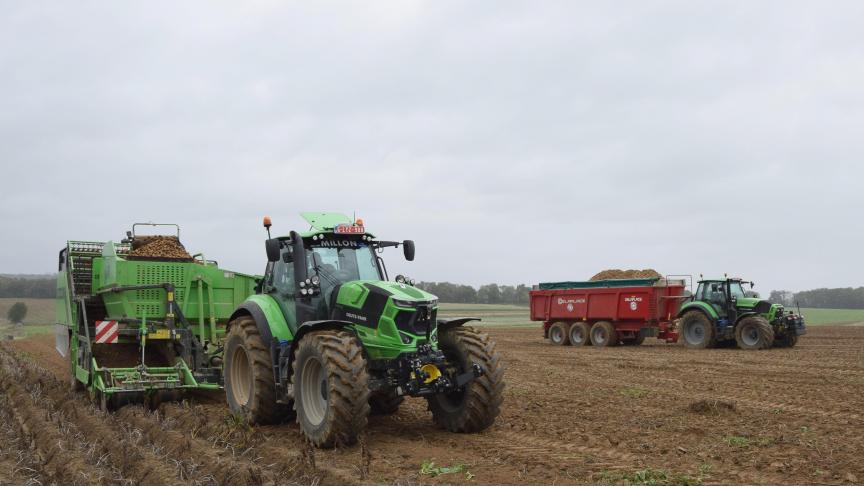 De opbrengst van Innovator-aardappelpercelen loopt ver uiteen.