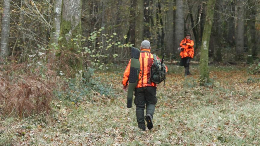 De natuurinspectie betrapte vorige week een bestelwagen met 110 fazanten en 25 patrijzen. Een jager had de bedoeling ze uit te zetten.