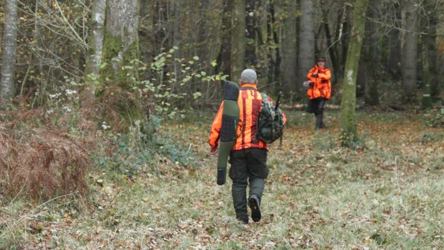 De natuurinspectie betrapte vorige week een bestelwagen met 110 fazanten en 25 patrijzen. Een jager had de bedoeling ze uit te zetten.