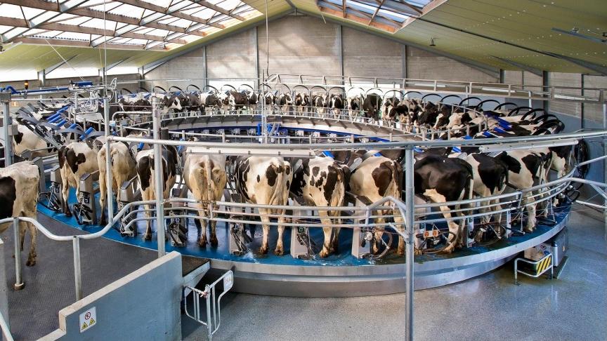 Het FastFlow principe kent 15 melkstanden, wat volgens DeLaval onder meer zorgt voor een vlottere in-en uitloop van koeien.