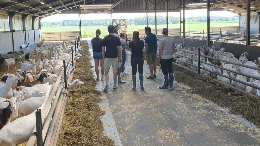 ‘On farm’ vergadering met de verschillende partijen van het Bolucap-project op het bedrijf van Jef Kusters in Ravels.