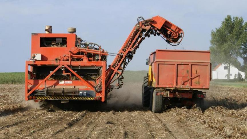 Ook het gemiddelde nitraatresidu in aardappelen ligt lager dan dat in 2019.