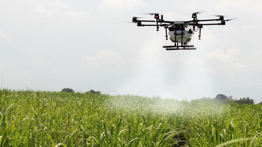 In tegenstelling tot de VS laat Europa de inzet van drones voor gewasbescherming niet toe.