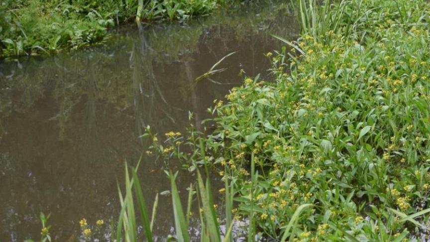 De uitgevoerde metingen in de waterbodem zijn ook gunstig: de brand en de bluswerken hebben geen impact gehad op de kwaliteit van de waterbodem van beide rivieren.