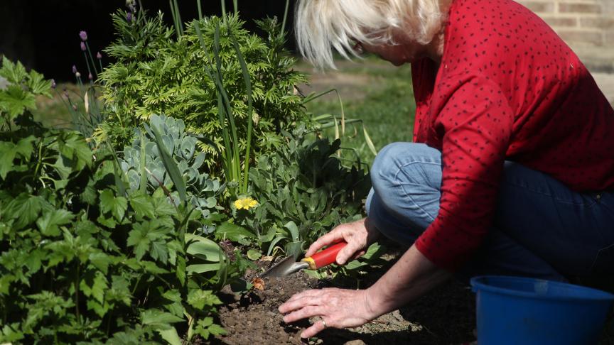 De tuinen die achter en rond veel huizen in Vlaanderen liggen, kunnen een belangrijke hefboom zijn om Vlaanderen wat groener en biodiverser te maken.