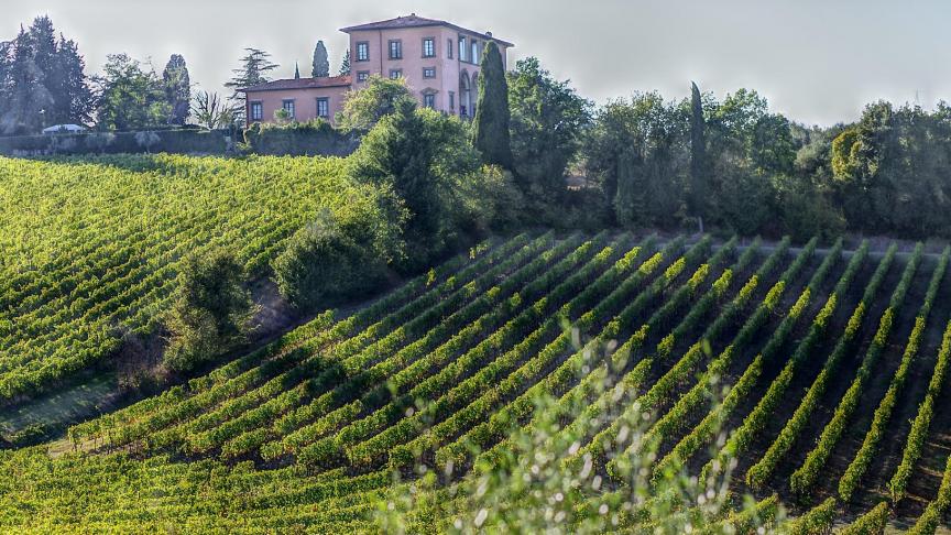 Italië is en blijft de grootste uitvoerder in de EU van wijn.