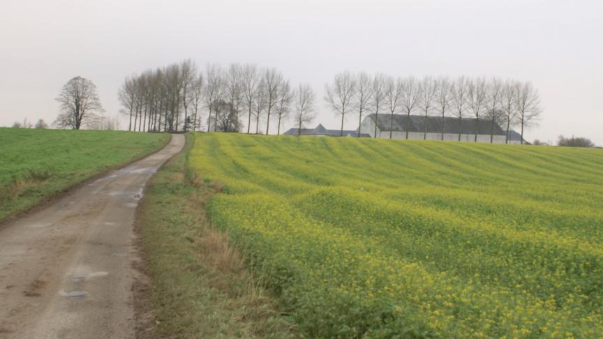 Boerenbond vraag expliciet aan de Vlaamse regering ruimte om te boeren.