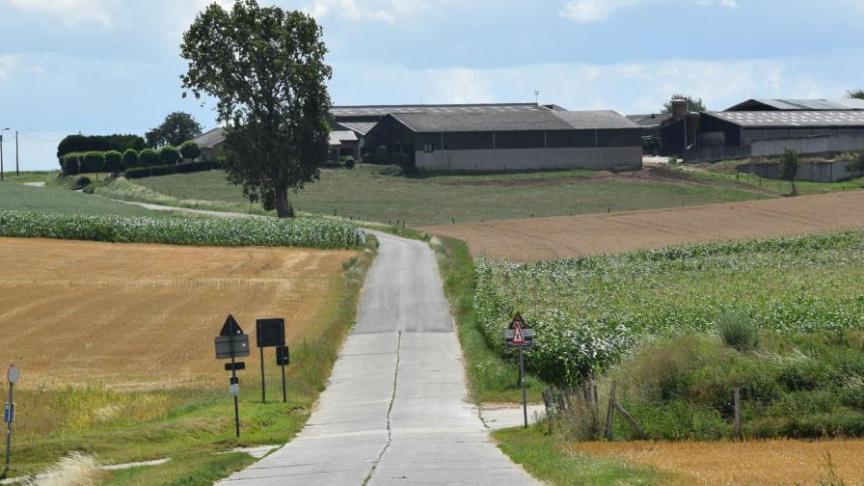 De landbouwgrond is het duurst in West-Vlaanderen.