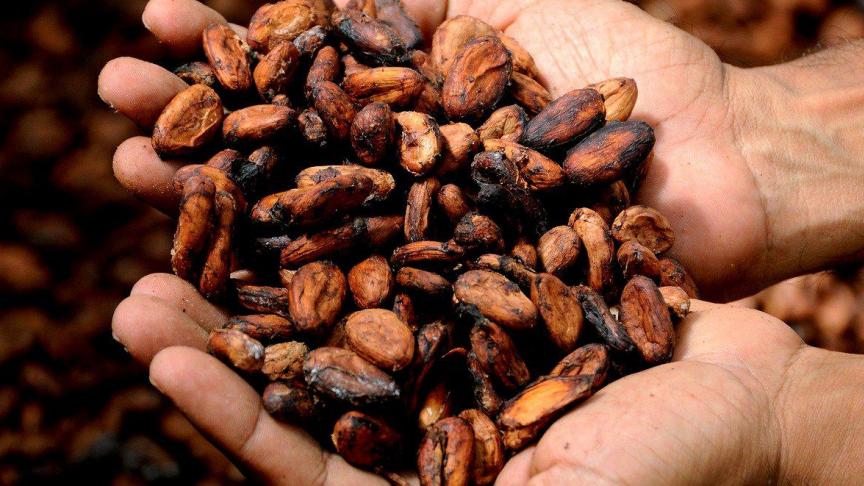 De cacaosector staat symbool voor het ongelijke spel tussen grote multinationals enerzijds en kleinschalige boeren anderzijds , stelt de Cacaobarometer.