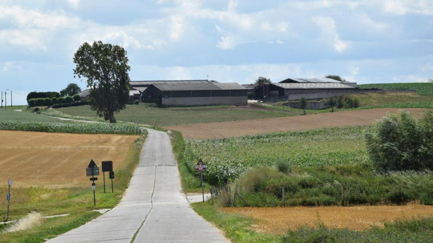 De landbouwgrond is het duurst in West-Vlaanderen.