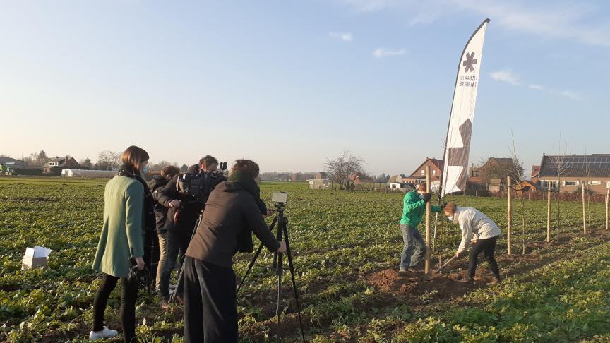 Op het proefperceel in Herent zijn rijen met verschillende soorten bomen aangeplant.