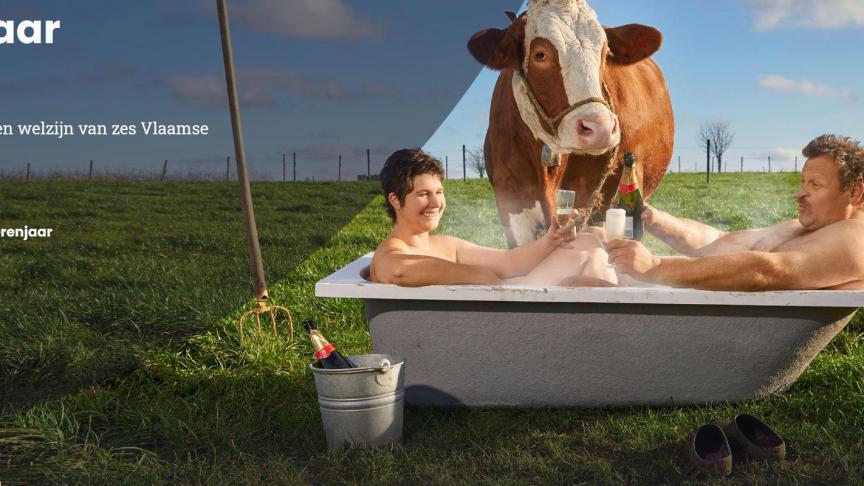 Boerenjaar vertelt het dagdagelijks leven op Vlaamse landbouwbedrijven.