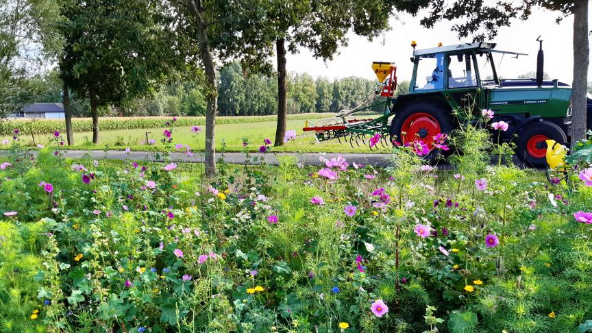 Bloemenranden bieden een meerwaarde aan de biodiversiteit.