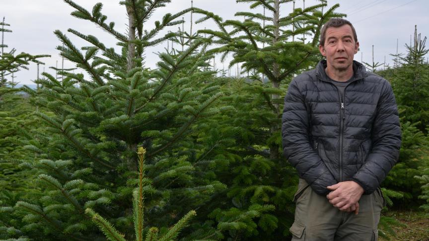 Minder snoeibeurten, heel weinig fytosanitaire behandelingen, geen chemische onkruidbestrijding... Christophe Denis teelt zijn kerstbomen met respect voor de natuur.