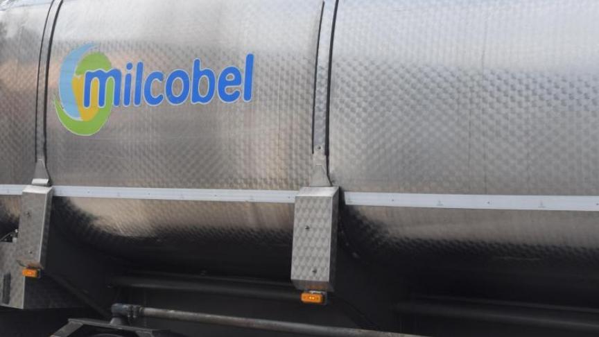Bijna 1 op 3 melkveehouders is aangesloten bij Milcobel.