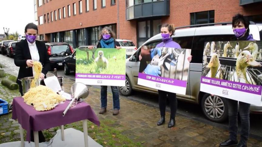 Dierenrechtenorganisatie Gaia gaf bij het kabinet van Waals minister voor Dierenwelzijn Tellier een petitie af tegen het vetmesten van eenden voor de productie van foie gras.