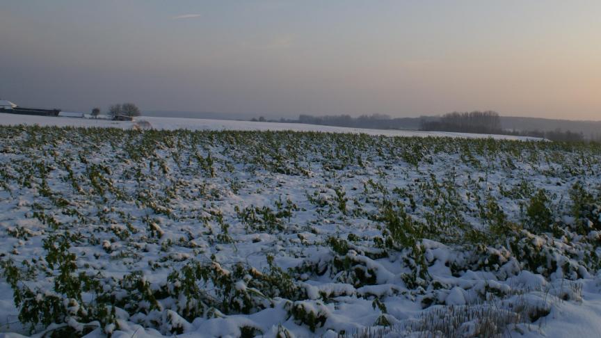 De Grondenbank voorziet dit jaar 8 miljoen euro naar het flankerend landbouwbeleid in het kader van PAS en de realisatie van de instandhoudingsdoelstellingen (IHD).