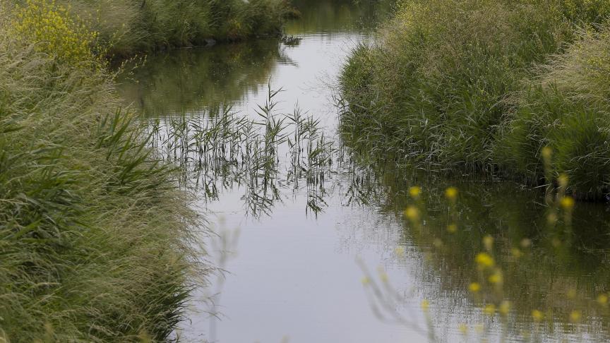 Voor een niet onbelangrijk deel van de grondwaterpeilen en debieten in de onbevaarbare waterlopen blijven de peilen en debieten dus een stuk lager dan diegene die we in een gemiddelde winter verwachten.