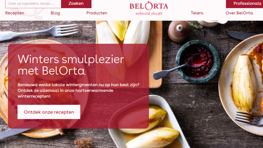 BelOrta website - landingspage