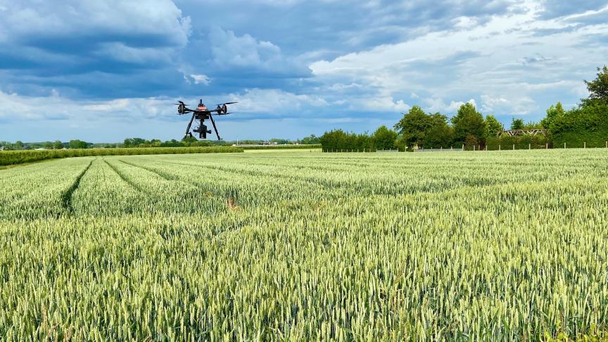 Met drones en artificiële intelligentie kan men aan precisieteelt doen.