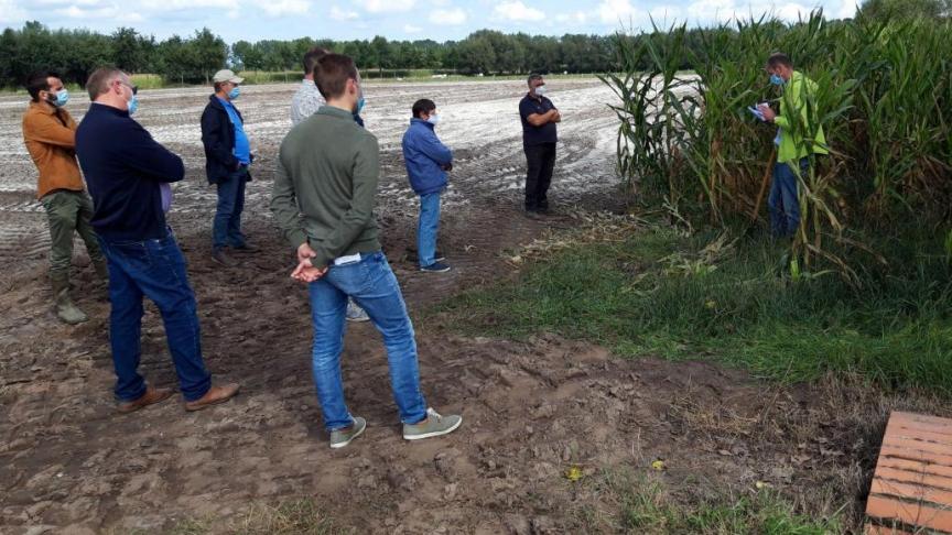 In Vlaanderen wordt het inzicht alsmaar groter dat een goede bodemkwaliteit ontzettend belangrijk is. Er lopen al projecten rond koolstopopslag.