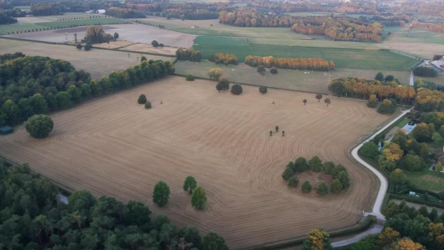 Van de totale landbouwoppervlakte in Vlaanderen wordt 70% aangegeven door de 32% grootste bedrijven.