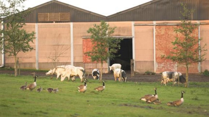 wisselwerking landbouw en natuur Vlaams-Brabalnt