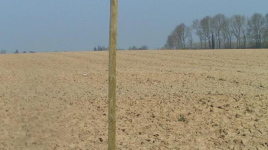 Zitstokken bevordert de aanwezigheid van roofvogels die dan een predator zijn voor bosmuizen.