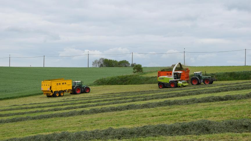 De afgelopen 5 jaar werd de grens - een temperatuursom 250 à 300 - bereikt tussen 9/2 en 9/3.