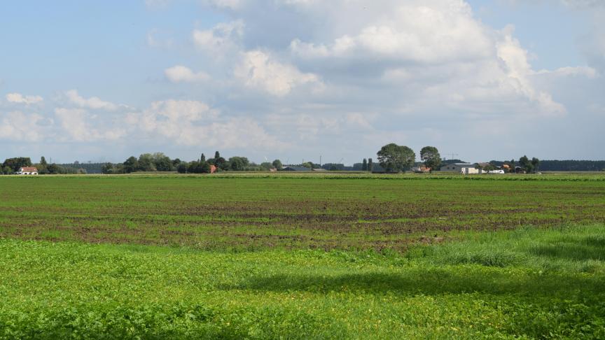 Landbouwers leveren ook mooie diensten voor het landschap, de open ruimte en het platteland.