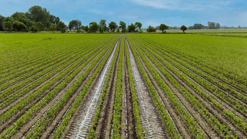 Rijpaden kunnen nu makkelijker worden aangelegd met de onlineconfigurator van Lemken.