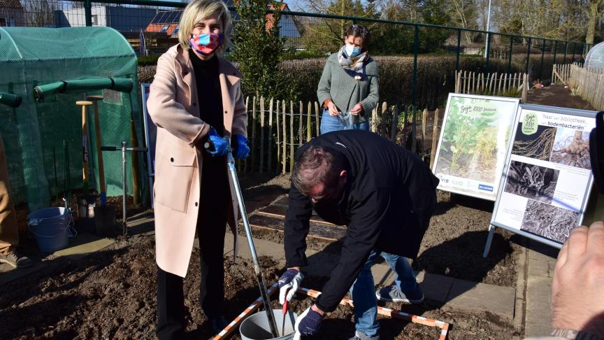 Vlaams landbouwminister Hilde Crevits is meter van een proeftuintje met soja in haar thuisstad Torhout.