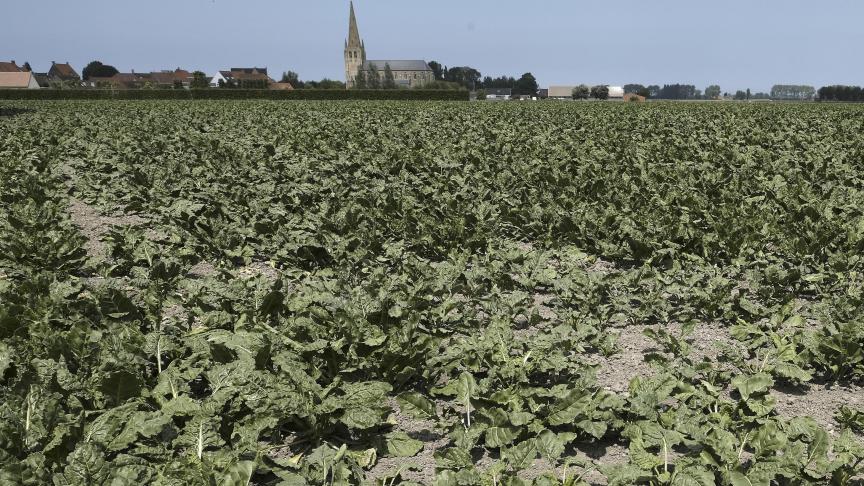 Met een brede weersverzekering kunnen landbouwers zich wapenen tegen extreme en ongunstige weersomstandigheden, klimaatverandering,… die de draagkracht van het landbouwbedrijf te boven gaan.