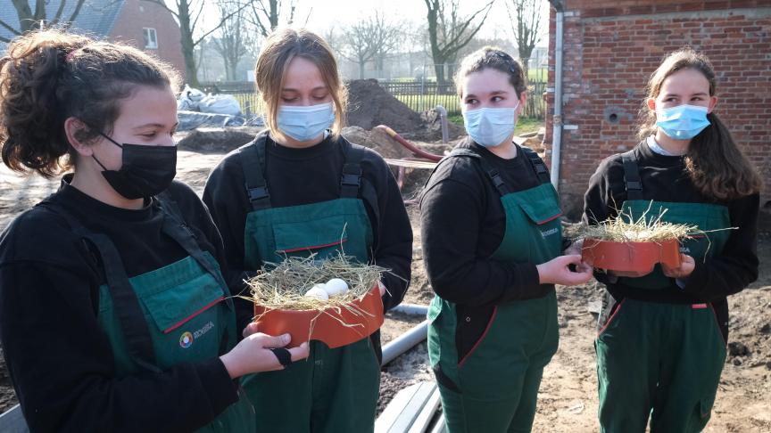 De eerste Campine-eitjes werden door de leerlingen Dierenzorg in een warm nestje gelegd.