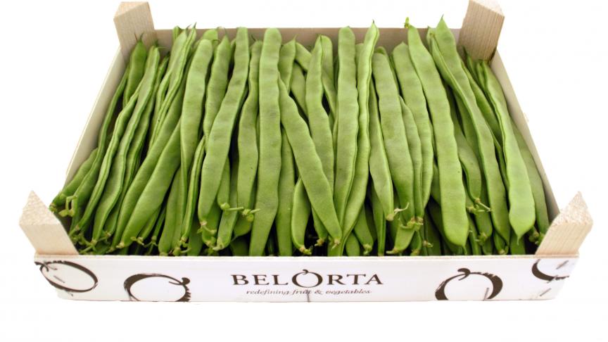 Teler Paul Van Hoof (De Bossen) voerde deze eerste frisse en knapperige bonen aan.