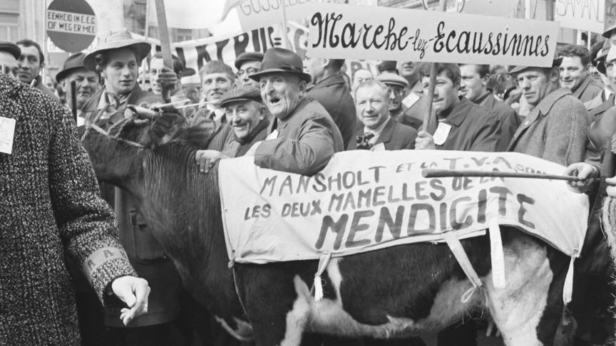 Ook Walen protesteerden heftig tegen het Mansholtplan.