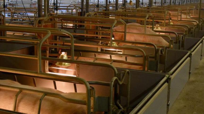 Er was eind verleden jaar een sterke vraag van het aantal adviesvragen uit de varkenssector.