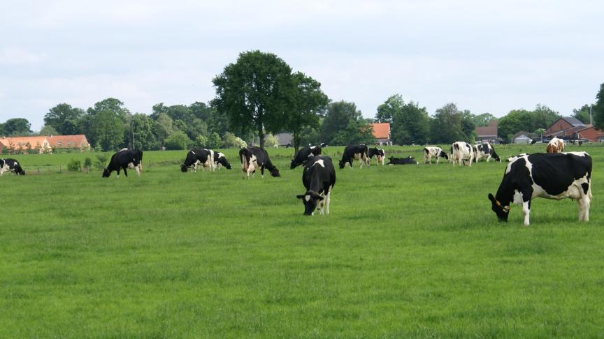 Voorbeelden van investeringen zijn stappentellers voor koeien, herkauwmeters, precisielandbouw of drones voor het meten van oogstparameters of waterbehoefte.