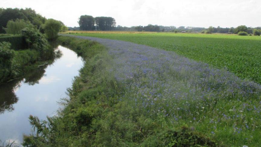 Boerennatuur Vlaanderen zet samen met land– en tuinbouwers volop in op het langer vasthouden en laten infiltreren van regenwater, het vertragen van de afvoer van water, het cyclisch gebruik van waterbronnen en het mitigeren van knelpunten rond kwaliteitsdoelstellingen.