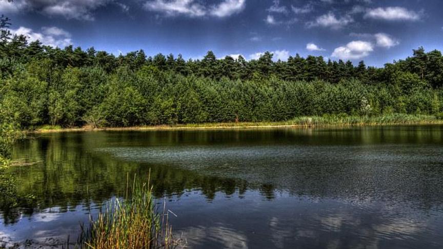 Het Nationaal Park Hoge Kempen is momenteel het enige Nationale Park in Vlaanderen.