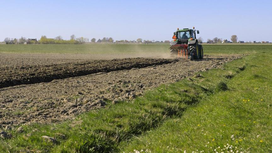 Volgens de bijgewerkte ramingen zijn er meer dan 608 miljoen familieboerderijen in de wereld, die tussen 70 en 80% van de landbouwgrond in de wereld innemen en in waarde ongeveer 80% van het voedsel in de wereld produceren.