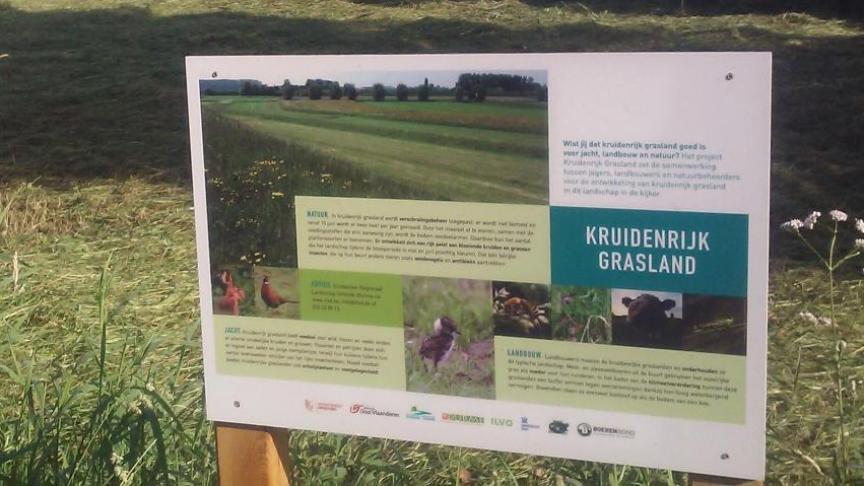 In het nieuwe GLB zal het productief kruidenrijk grasland nog meer worden ondersteund.