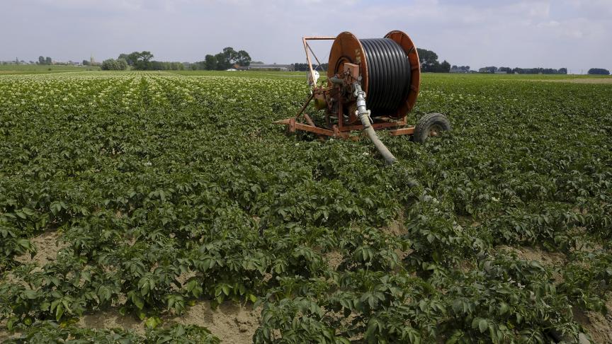 De land- en tuinbouw liep door de grote droogte in 2020 veel schade op.