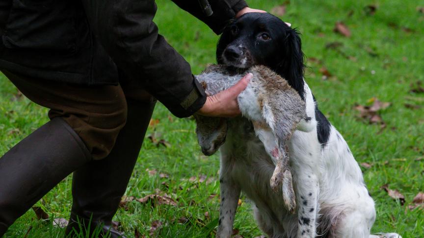 Een jachtplan markeert het gebied waar een jager regelmatig aan wildbeheer mag doen, en tot waar de grenzen lopen van zijn beheeractiviteiten.